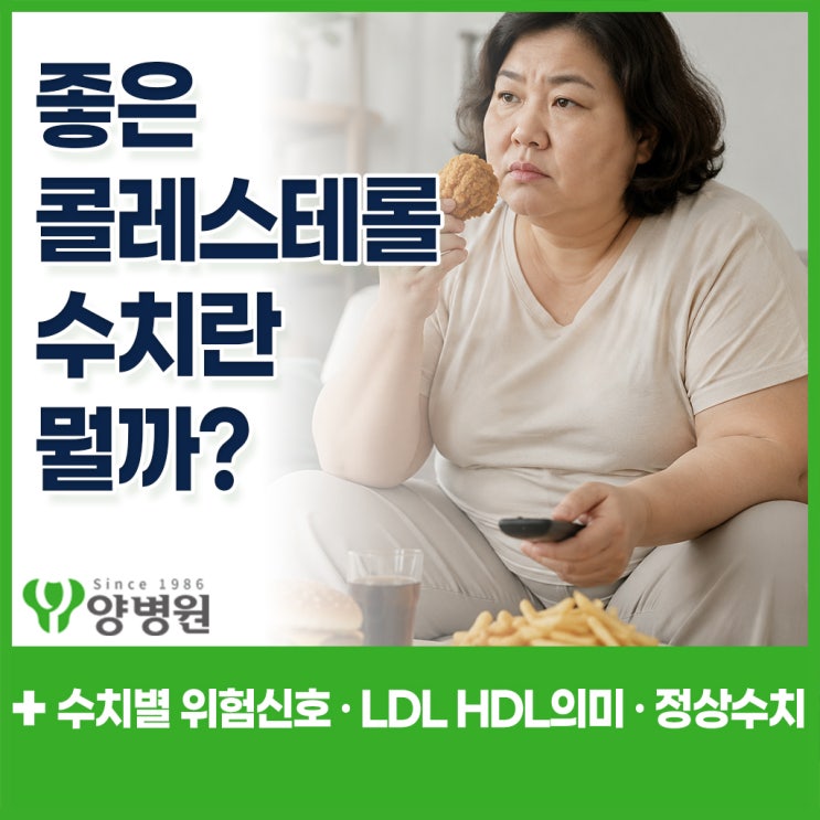  LDL·HDL 콜레스테롤 정상수치 – 콜레스테롤 낮으면? 높으면? 수치별 위험 신호 정리
