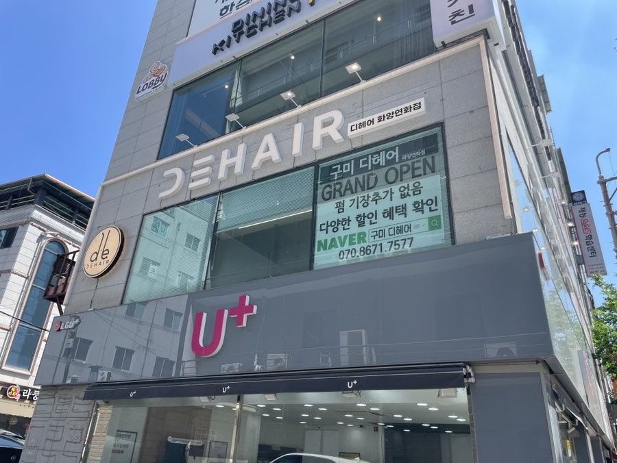 디헤어 사진 2
