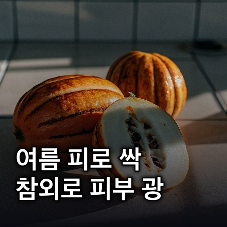  참외 효능, 여름철 피로 회복과 피부 건강 지키는 법