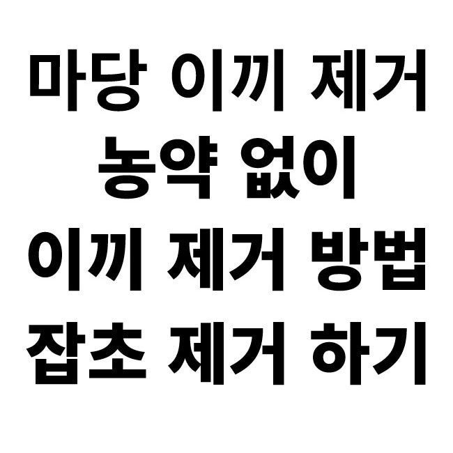 마당 텃밭 잡초 이끼 농약 없이 빙초산으로 제거 및 보관 방법 주의 사항