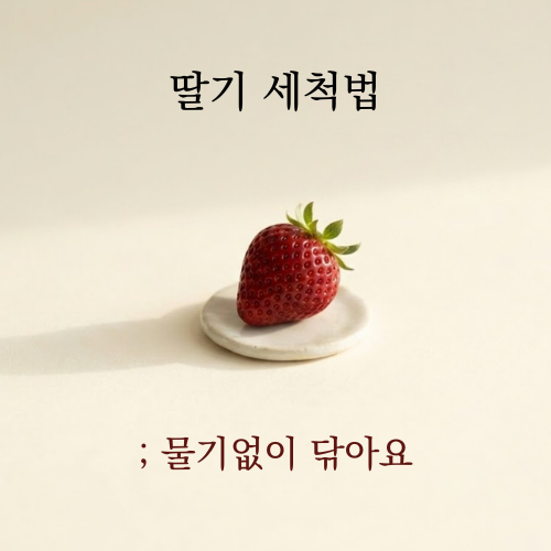 딸기 씻는법 물기없이 깨끗하게 세척하는 꿀팁