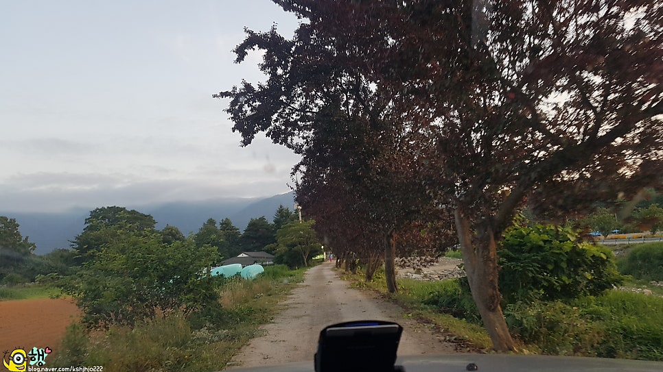 오월의정원 사진 2