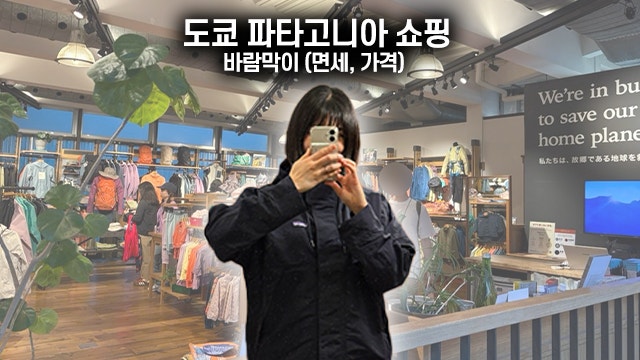 도쿄 쇼핑 시부야 파타고니아 바람막이 스카이세일 재킷 구매 (한국 가격 비교)