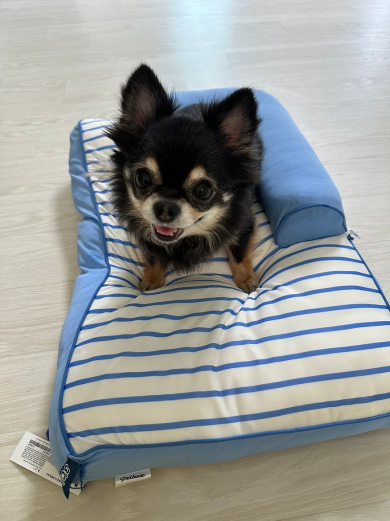 여름침구류 추천 : 모던하우스3도씨 이불,베개,펫방석