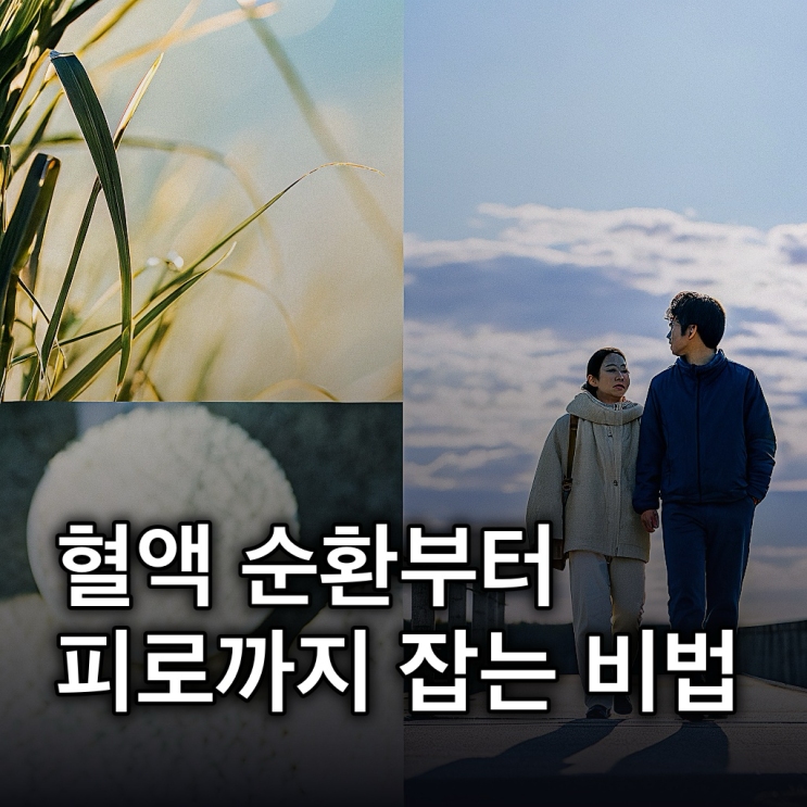  아르기닌 효능: 혈액 순환부터 피로 회복까지 핵심 총정리