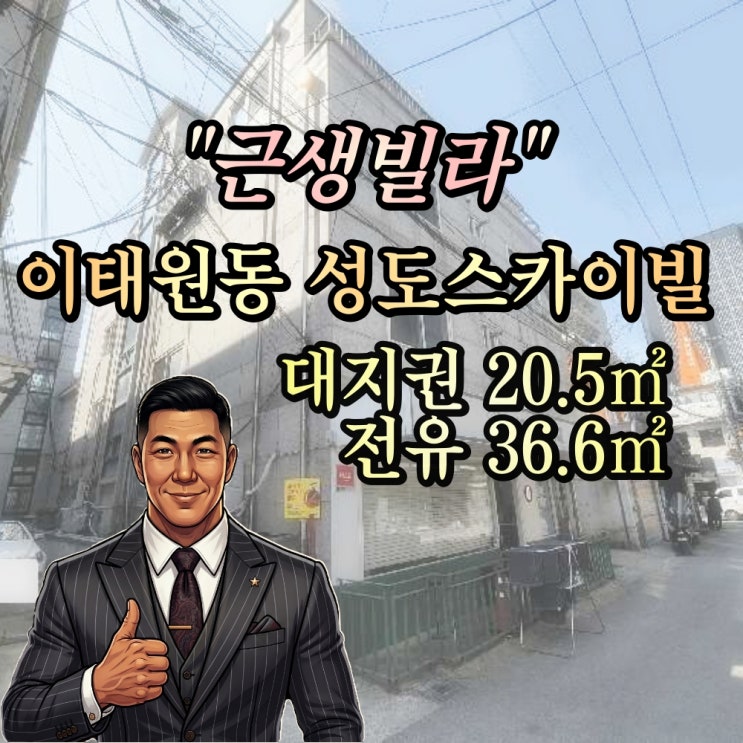  이태원 역세권 '근생빌라' 경매 성도스카이빌 1층 (2024타경63556)