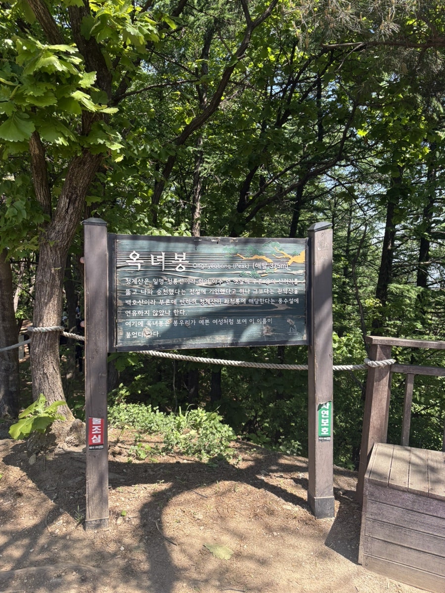 동지섣달꽃본듯이 사진 2