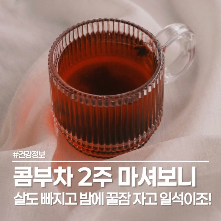  콤부차 효능 5가지, 티젠 콤부차 직접 마셔본 솔직한 다이어트 후기