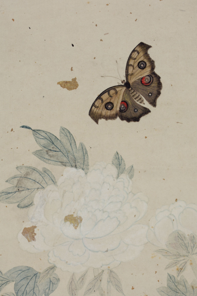 조선시대 남계우의 그림 속 남방공작나비-그림으로부터 과거의 생물다양성을 추정할 수 있....