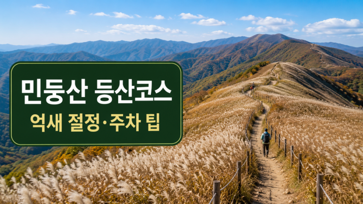  민둥산 등산코스 억새 절정 주차 팁