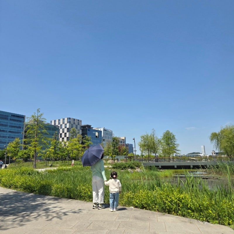 마곡 서울식물원 피크닉 명소! 주차 팁부터 경성찹쌀꽈배기 & 구슬아이스크림 먹방까지