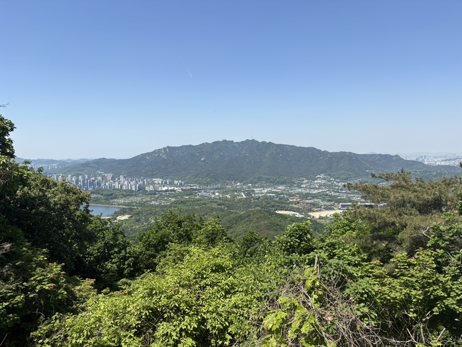 동지섣달꽃본듯이 사진 1