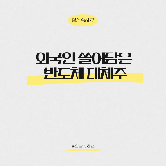  외국인 쓸어담은 '반도체 대체주' AI 2막, 돈은 이미 이동 중이다