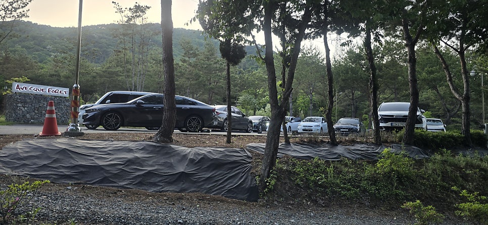 아베크포레 사진 1