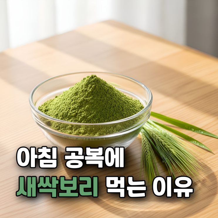  새싹보리 효능 부작용 섭취방법 총정리