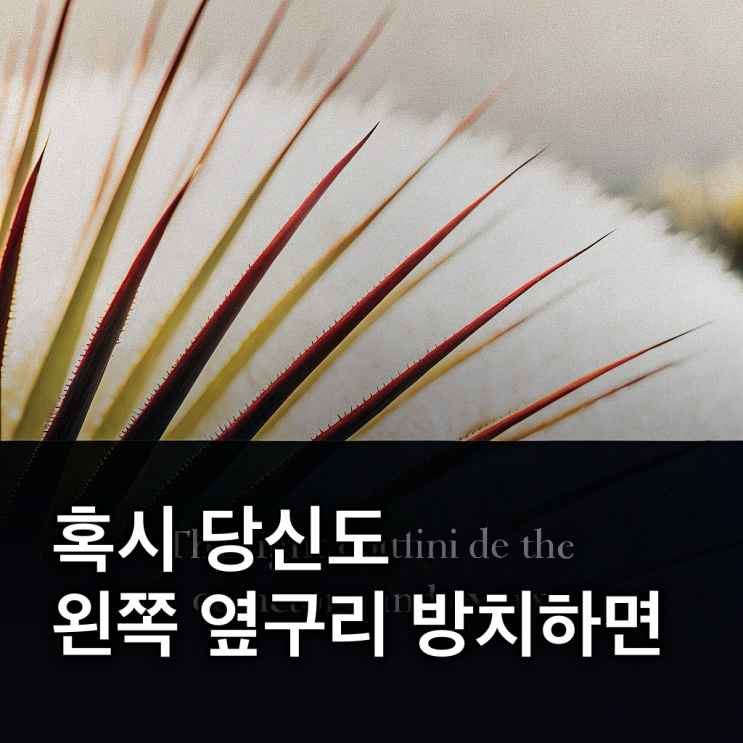  왼쪽 옆구리 통증, 원인별 증상과 병원 가야 할 때