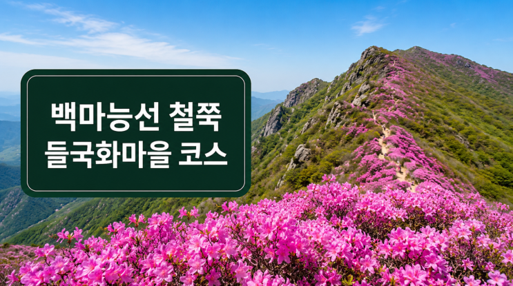  무등산 백마능선 철쭉 절정, 들국화마을 코스