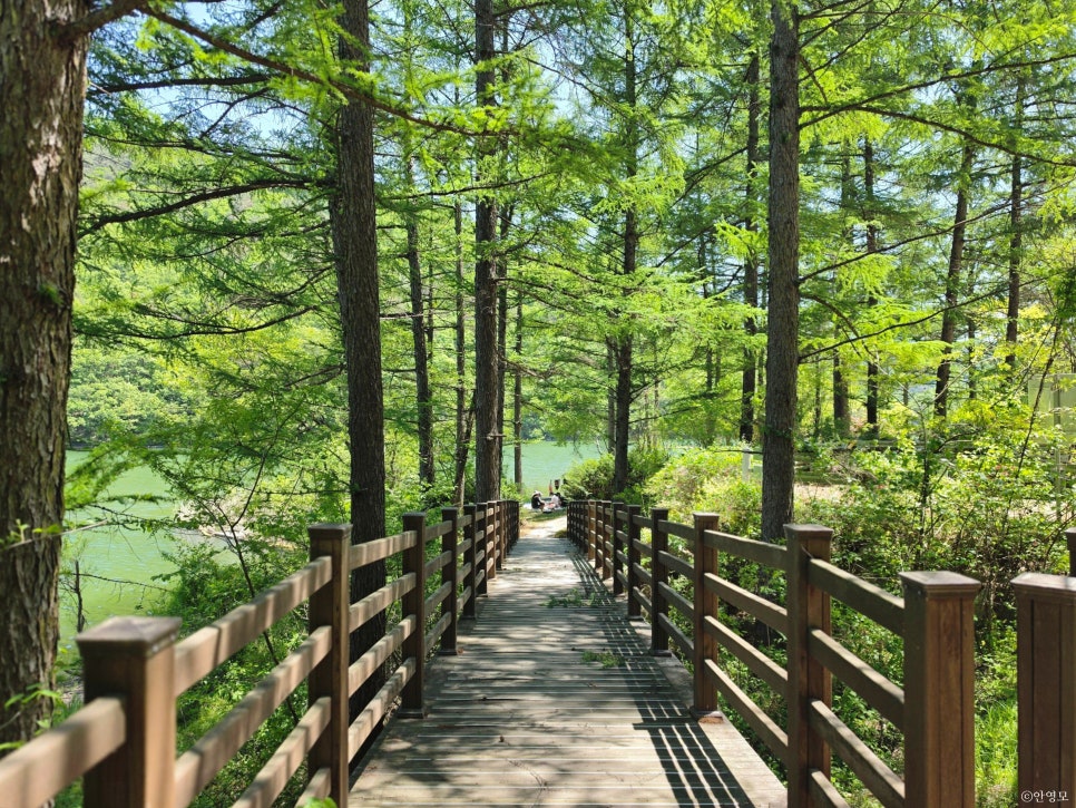 대룡저수지 사진 4