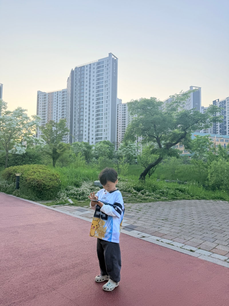 뉴에라 키즈 포켓몬 티셔츠 메쉬 피카츄 모자 옷 6세 후기