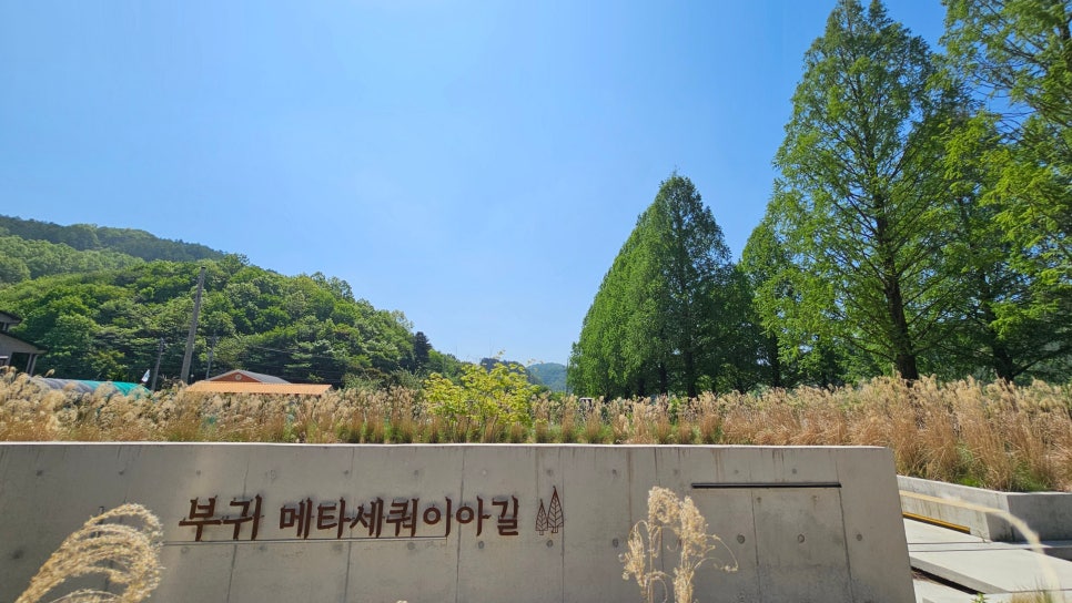 Jinmigadeun photo 2