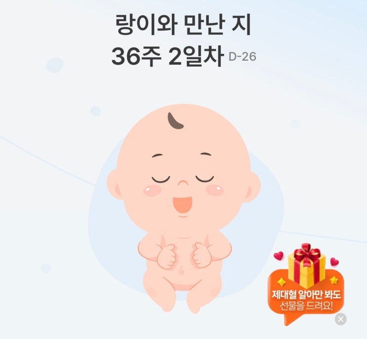  임신 36주 병원 방문(GBS STD균  태동검사)+임당 내과 진료