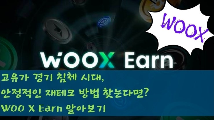  고유가 경기 침체 시대, 안정적인 재테크 방법 찾는다면? WOO X Earn 알아보기