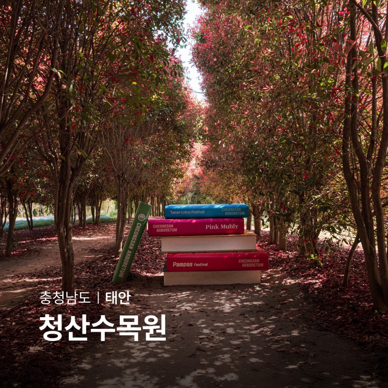 충남 태안 청산수목원 입장료 볼거리 5월 애견동반 여행지