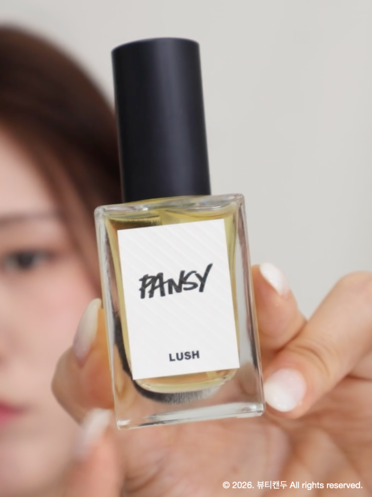  러쉬추천템 팬지! 20대 향수 추천 러쉬 향수 가격