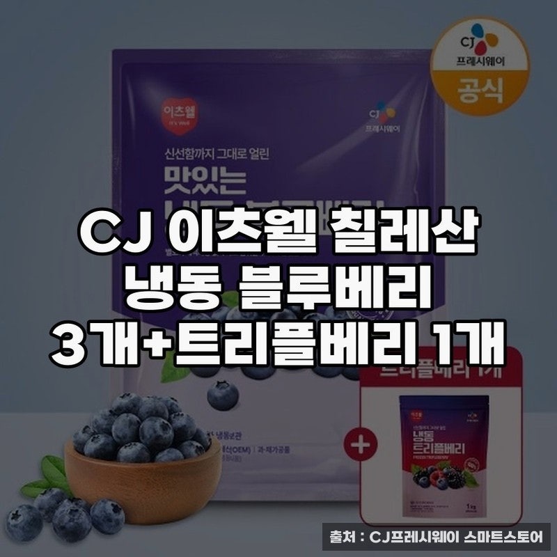 CJ 이츠웰 냉동 블루베리로 건강한 간식 즐기기