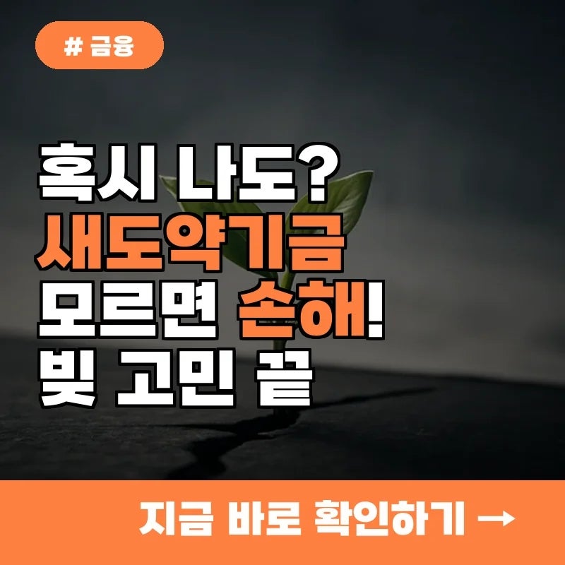 혹시 나도? 새도약기금 모르면 손해 보는 빚 고민 타파법