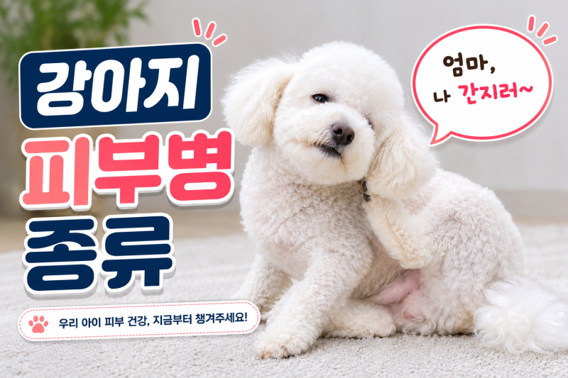 강아지 피부병 종류 원인 증상 예방과 관리방법