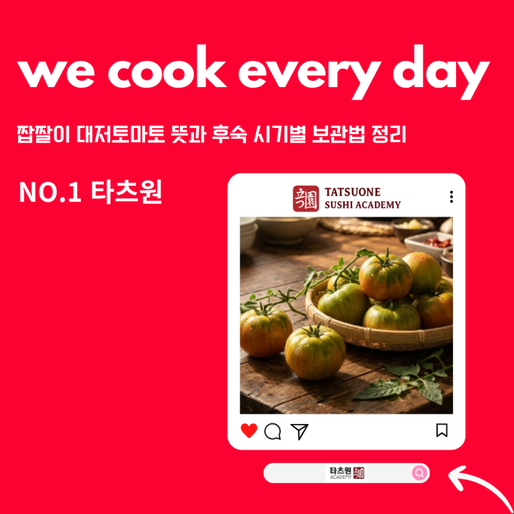  대저토마토 뜻 시기 보관법 A_Z까지 부산에서 유명했던 이유는?
