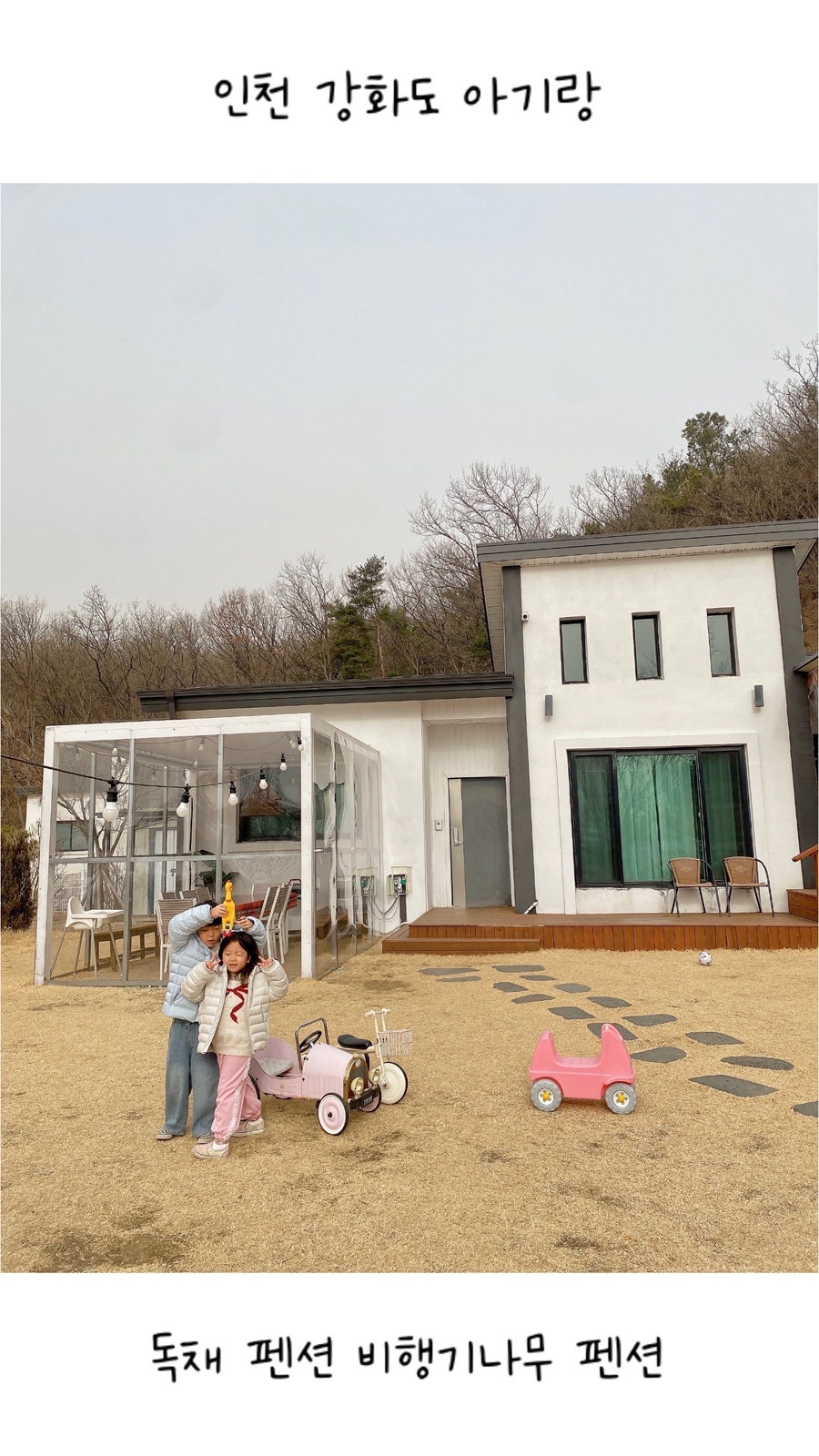 비행기나무 사진 1