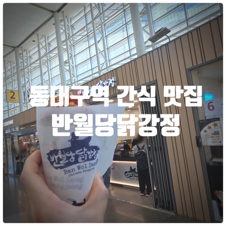  동대구역 간식 맛집 『 반월당닭강정 』 원조순한맛 치킨 싱글컵 내돈내산 솔직후기