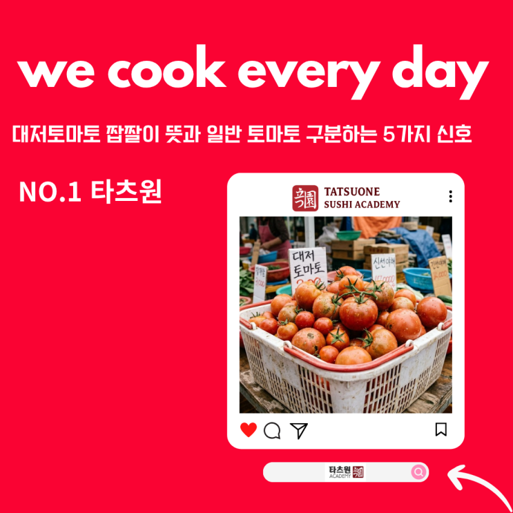  대저토마토 짭짤이 뜻 구분하는 방법 도대체 모르겠어요 그러니 알려주세요