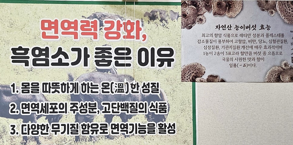 대청봉 사진 6