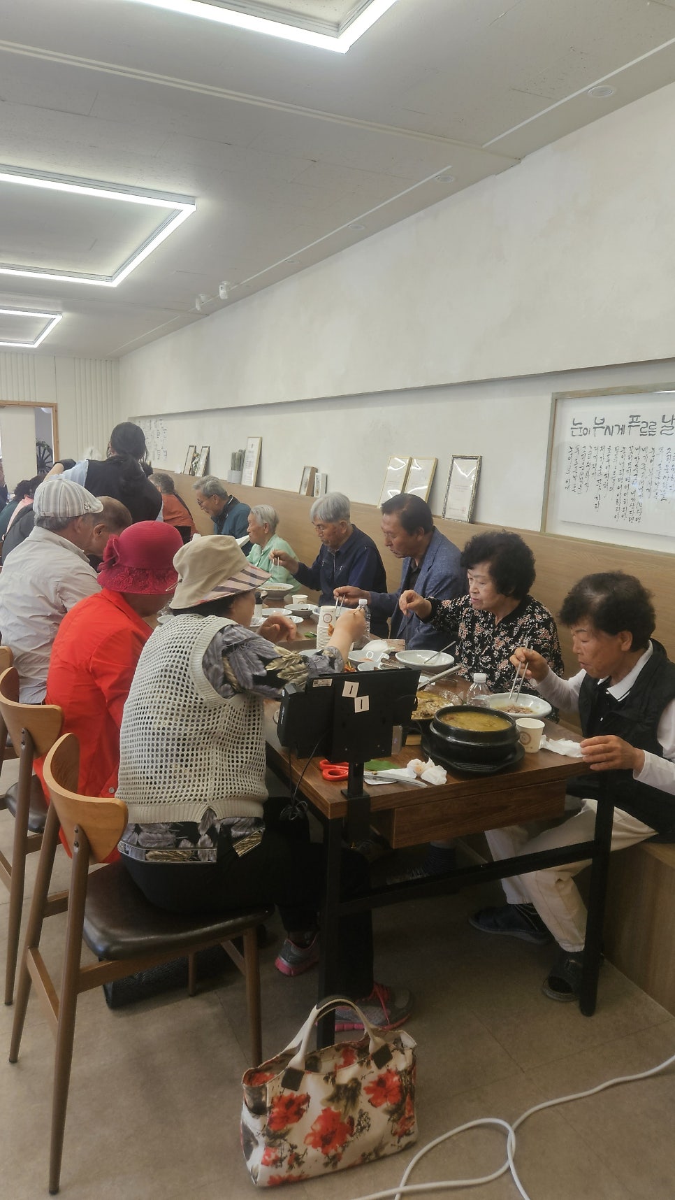 황금오리 사진 5