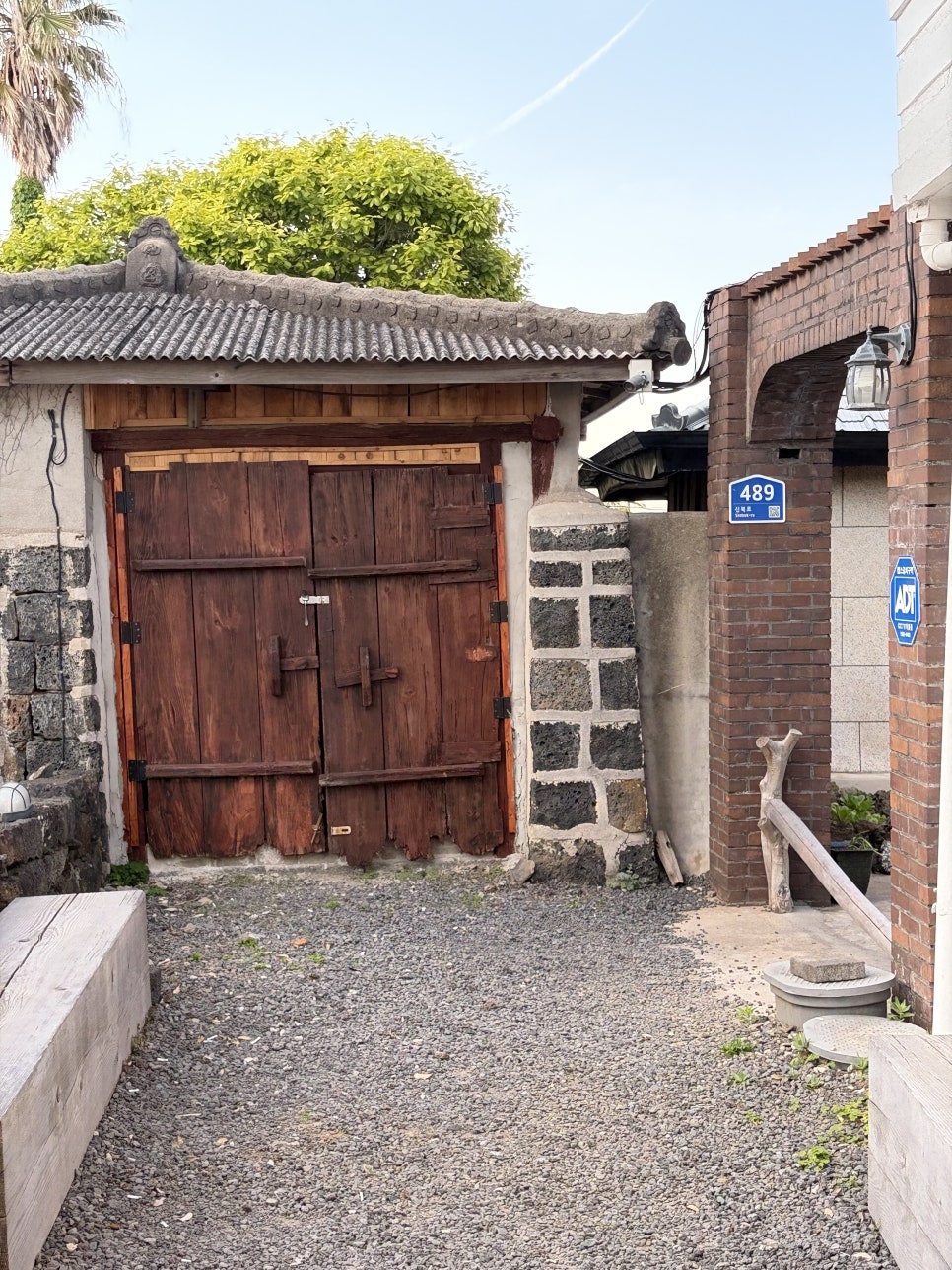 함덕회춘 사진 4