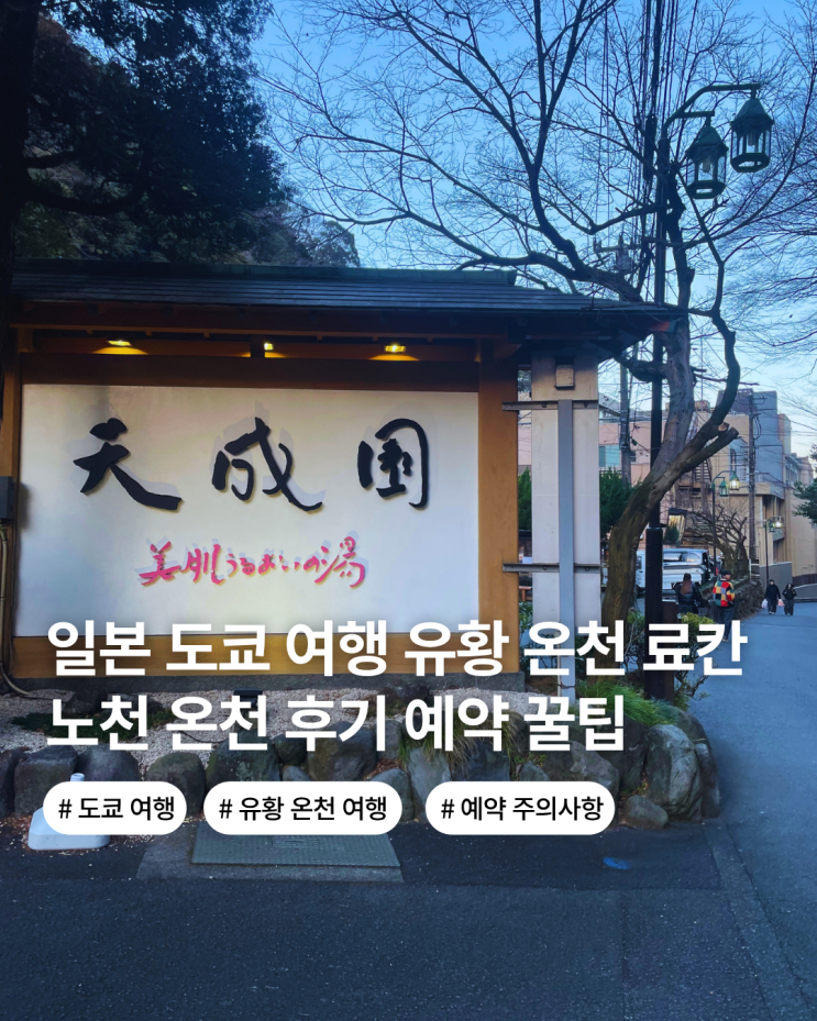  일본 도쿄 여행 근교 여행 도쿄 숙소 하코네 유황 온천 료칸 텐세이엔 NOL예약 주의사항 꿀팁