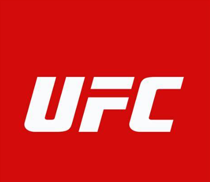  UFC 선수 재산 순위