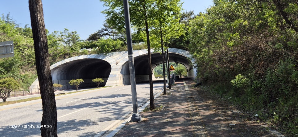 조간이산 사진 3