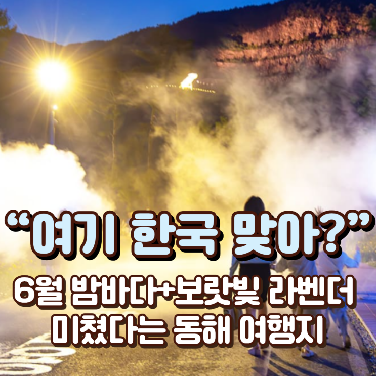  “여기 한국 맞아?” 6월 밤바다+보랏빛 라벤더 미쳤다는 동해 여행지