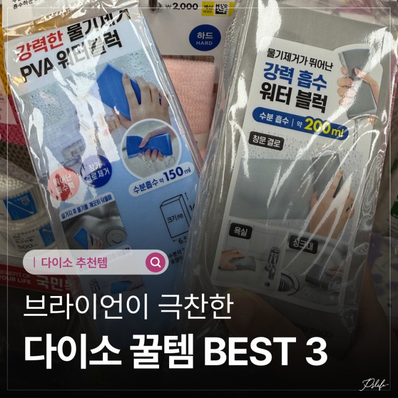 청소광 브라이언의 다이소 털기! 6살 아들맘이 직접 써본 가성비 청소 꿀템 BEST 3