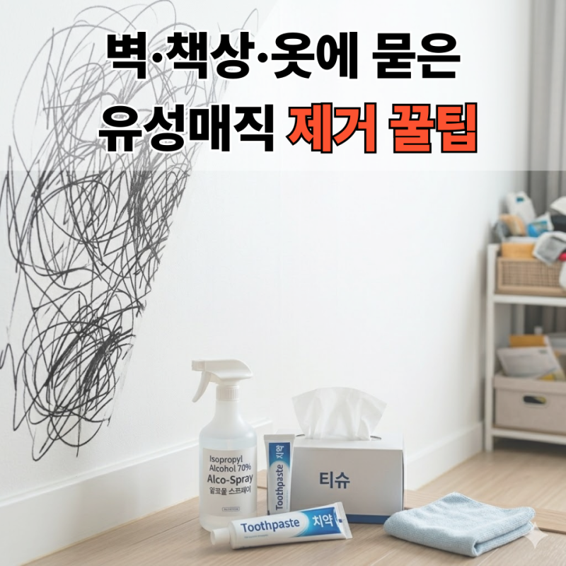 유성매직 지우는법 BEST 5, 집에 있는 재료로 간단 해결