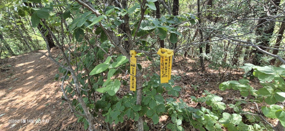 조간이산 사진 6
