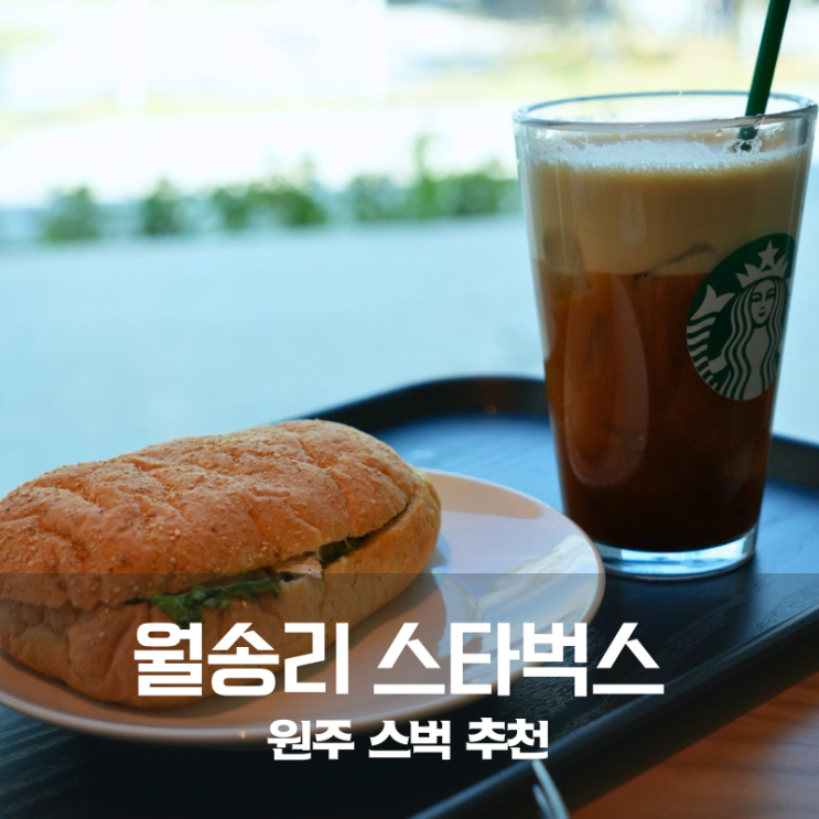  월송리 CC 스타벅스 음료 메뉴 에어로카노 커피까지 분위기 좋았던 숲뷰 카페