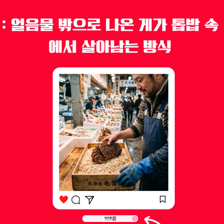  최고급 털게 상자에 물 한방울 넣지 않는 상인들의 계산
