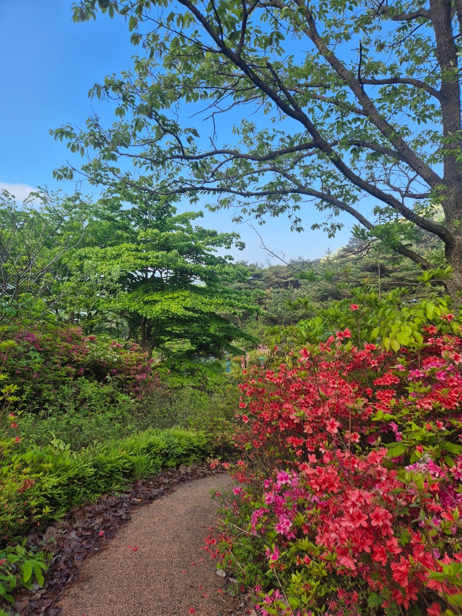 담쟁이카페 사진 5