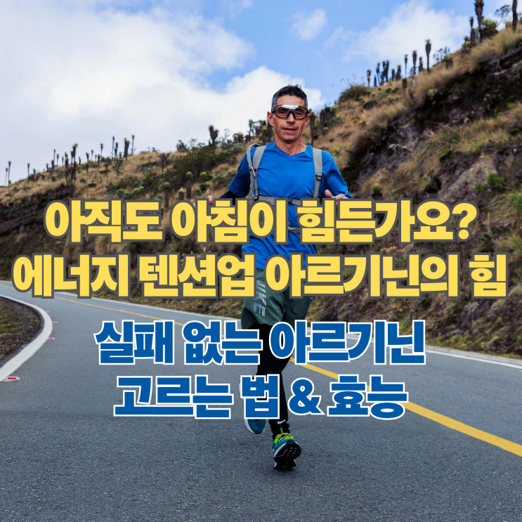  "피로 해소와 활력의 핵심" 아르기닌 효능 5가지와 고르는 법, 운동 필수템인 이유