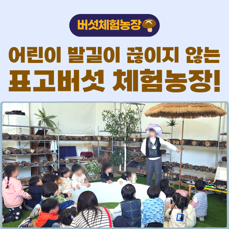 서울,파주,인천 유치원/어린이집에서 방문하는 곳! 일산머쉬룸팜 표고버섯 체험농장